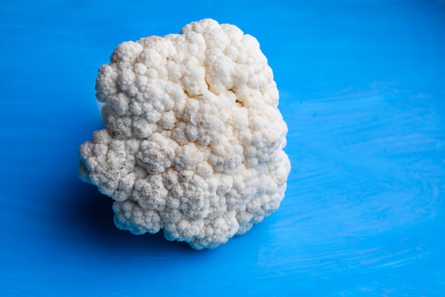Close-up cauliflower on cyan blue background. horizontal