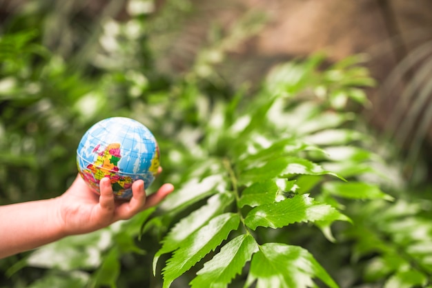 Крупный план руки ребенка, держа глобус мяч перед растением