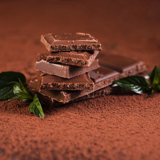 Close up chocolate bar squares on cocoa powder