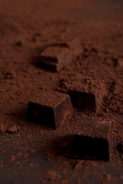 Close up of chocolate candies covered with dark powder