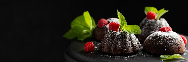 Close-up chocolate dessert with sugar powder