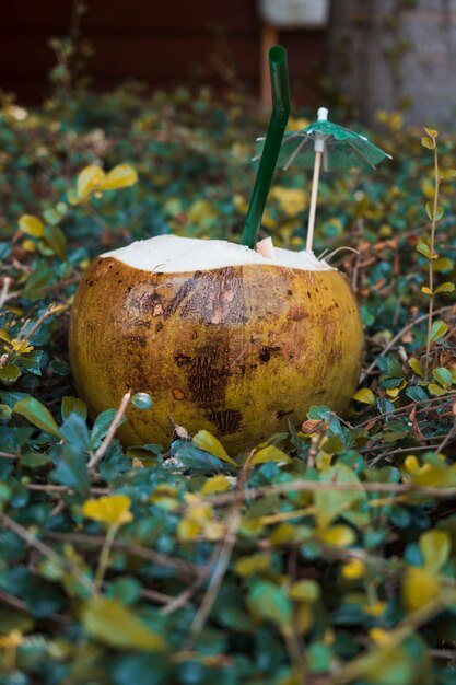 Крупный план кокоса с трубочкой и зонтиком