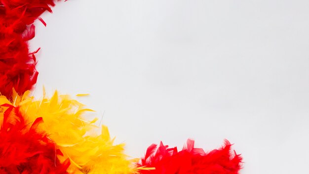 Close-up colorful feathers with copy space