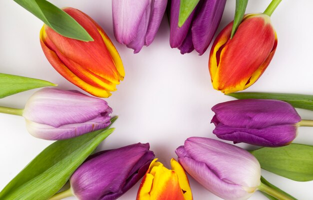 Close-up of colorful tulips arranged in circular shape