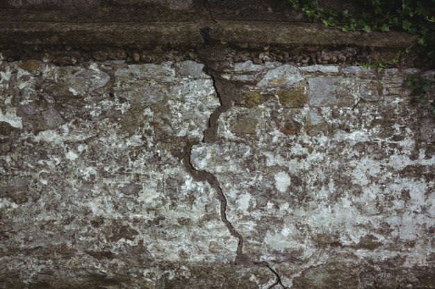 Close-up of concrete wall with crack