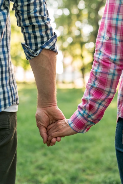 Close-up of couple holding hand and standing in park