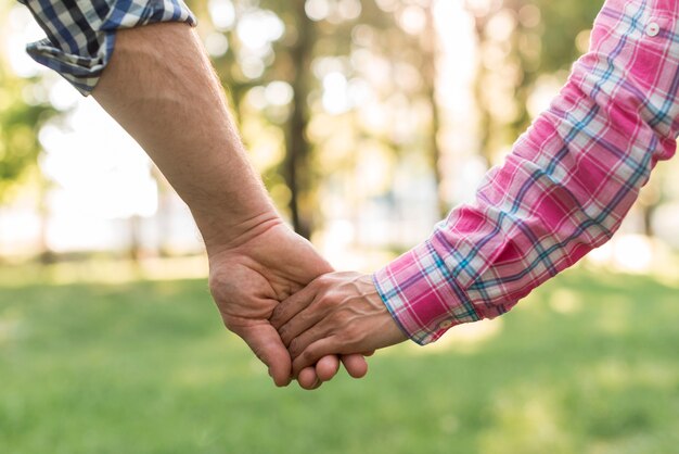 Close-up of couple holding hand walking in park