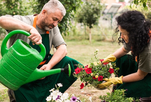 Close-up couple watering flowers