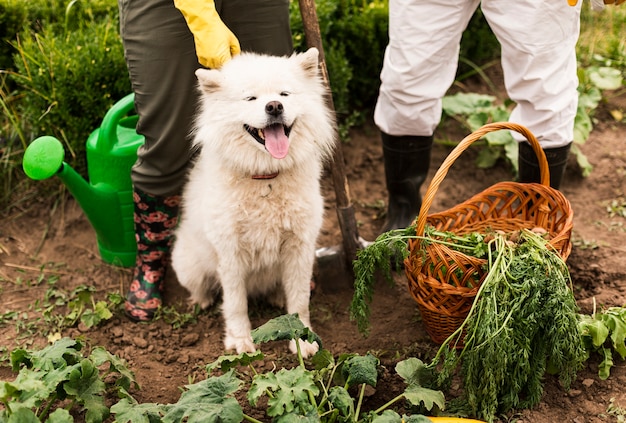 庭で犬とクローズアップカップル