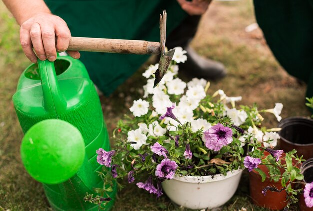 Close-up couple with a flower pot