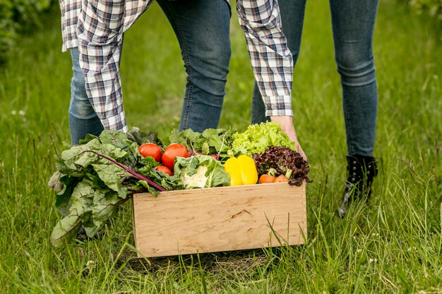 Close-up couple with vegetables basket