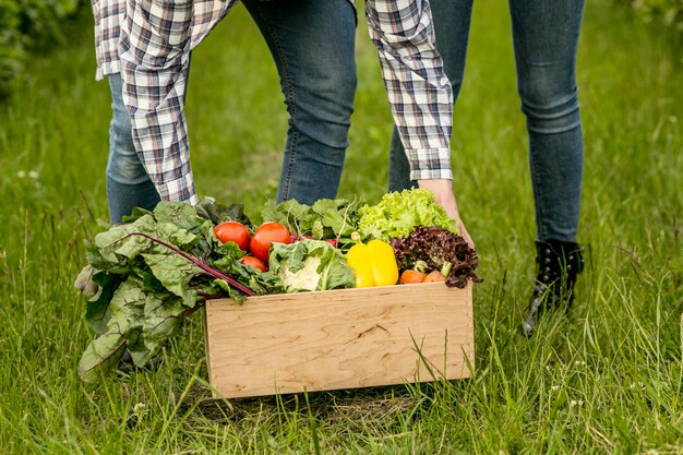 close-up couple with vegetables basket
