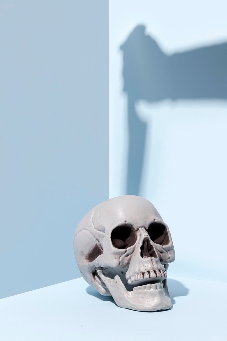 無料Photo 不気味なハロウィーンのスケルトンのクローズアップ