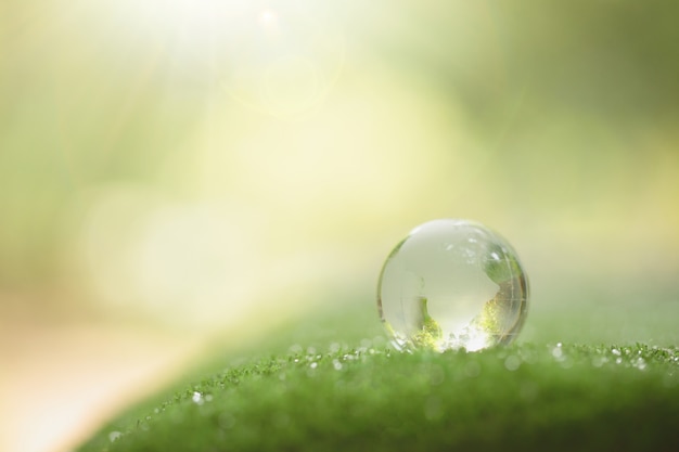 Close up of crystal globe resting on grass in a forest