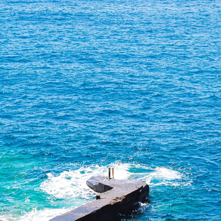 無料Photo 海岸でクローズアップ結晶波状水