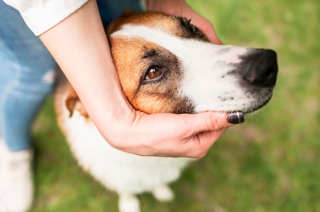 外で時間を楽しんでいるクローズアップのかわいい犬