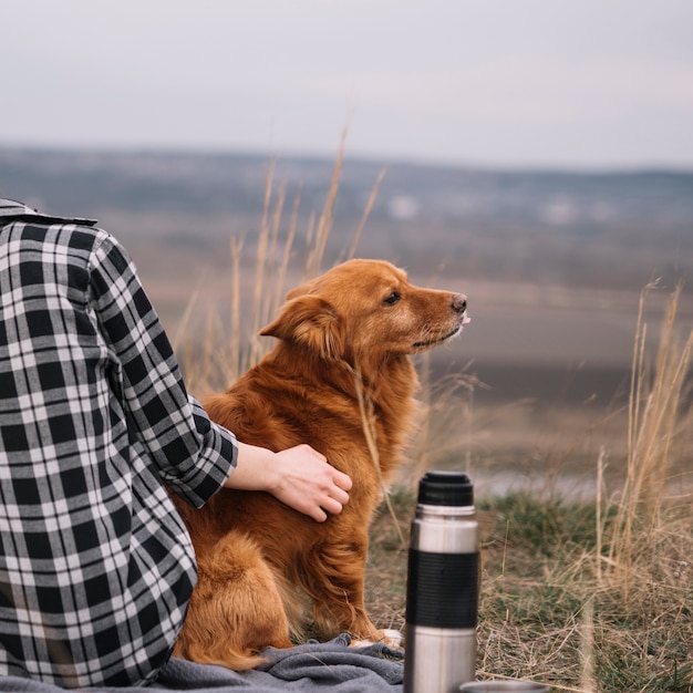 Cane sveglio del primo piano in natura