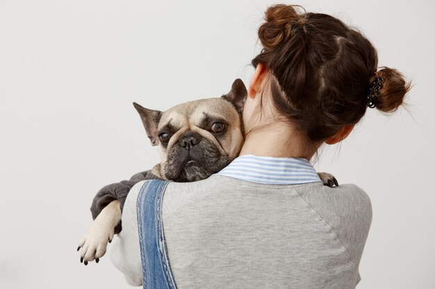 Close up cute french bulldog lying on shoulder of her female owner. Picture from back of female veterinarian pressing sad puppy to her while doing tests. Relation, responsibility