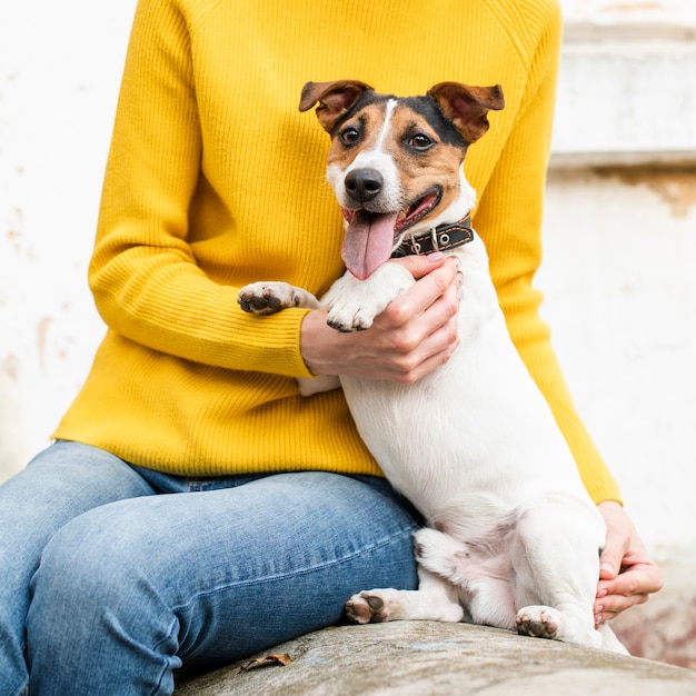 Free photo close-up cute little dog with owner