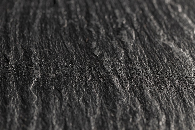 Close-up dark tree shell