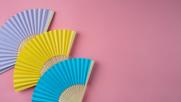 Close up on delicate fans