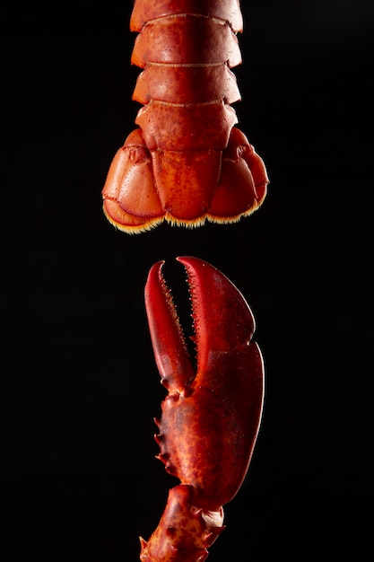 Free photo close up on delicious cooked crawfish part