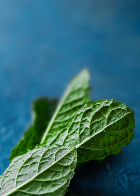 Free photo close-up on delicious textured food