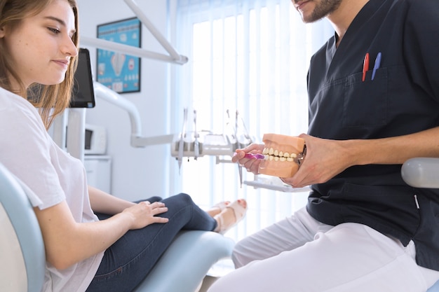 Крупный план стоматолога с использованием зубной щетки на зубах модели в стоматологической клинике