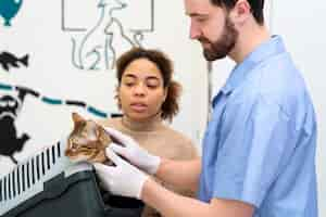 Free photo close up doctor holding cute cat