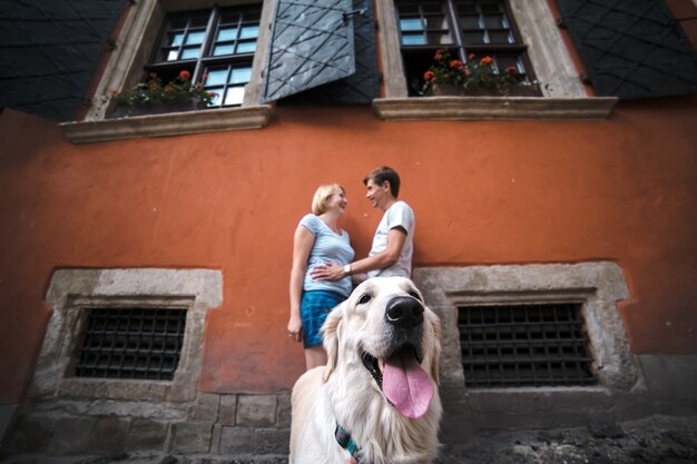 Close-up of dog with romantic couple in background