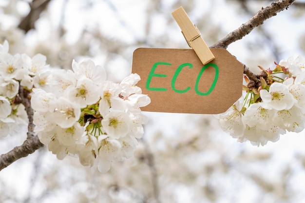 Close-up eco sign in tree flowers