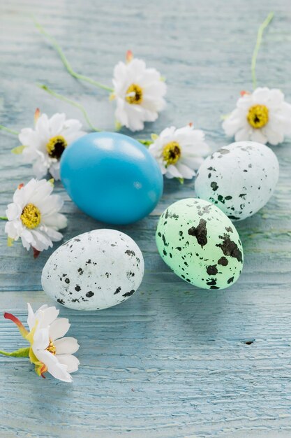 Close-up eggs and flower heads