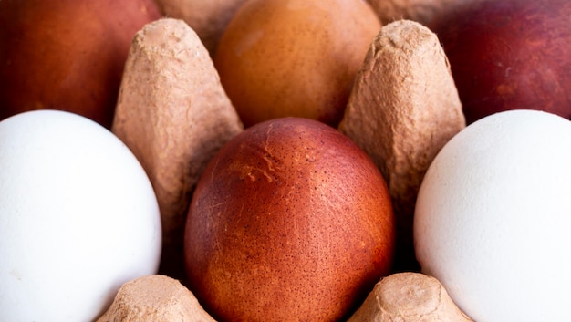 Free photo close-up eggs in formwork