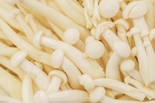 Close up of Enoki mushroom and beech mushrooms .