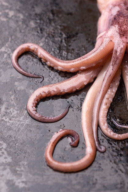 Free photo close-up exotic octopus seafood dish