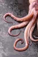 Free photo close-up exotic octopus seafood dish