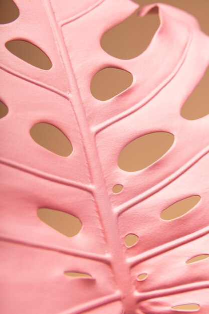 Close up exotic pink leaf still life