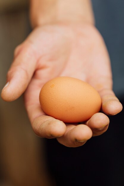 Close-up farmer holding fresh egg in hand