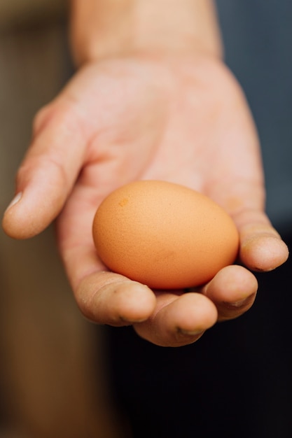 新鮮な卵を手で押しクローズアップ農家