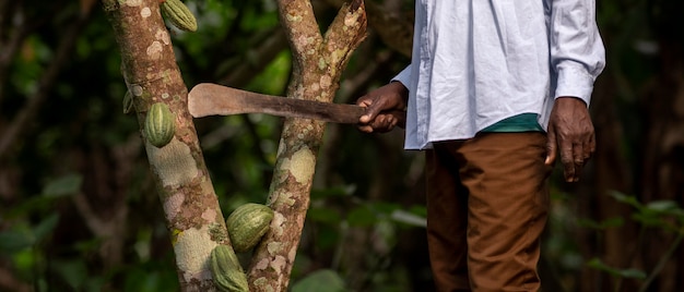 Free photo close up farmer holding machete