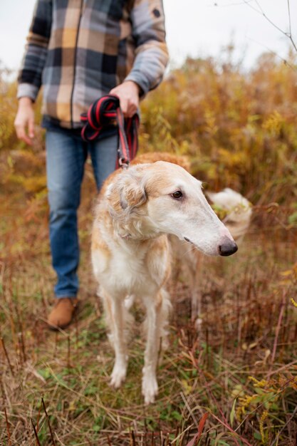 Close up on farmer spending time with dog