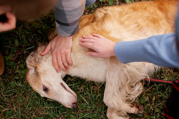 犬と一緒に時間を過ごす農家のクローズアップ