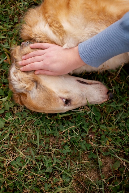 Free photo close up on farmer spending time with dog