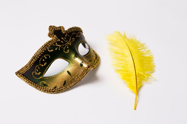 Close-up feather and mask