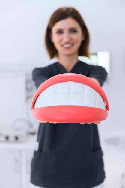 Close-up of a female dentist's hand holding teeth model