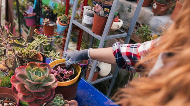 国内の庭で鉢植えの植物を配置する女性庭師のクローズアップ