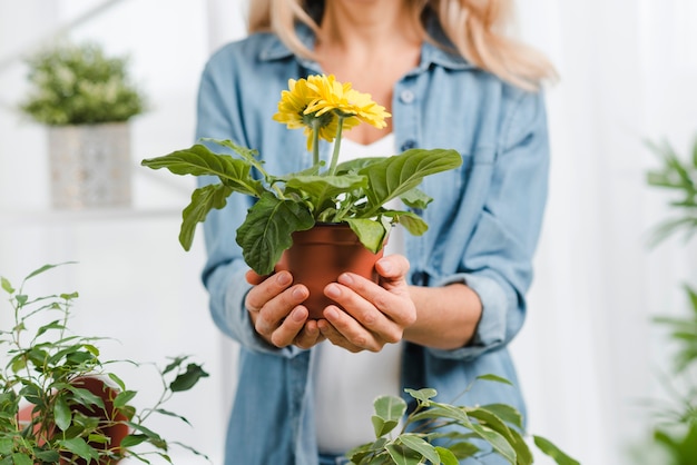 Free photo close-up female holding flower pot