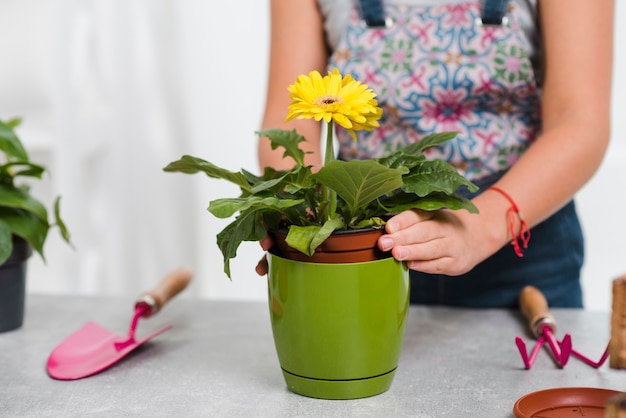 Close-up female planting flowers