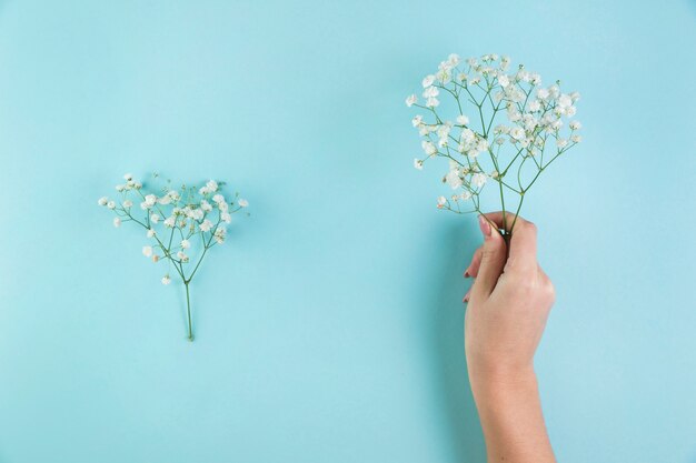 青い背景に赤ちゃんの息の花を持っている女性の手のクローズアップ