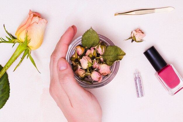 Close-up of female's hand touching the glass of dried pink rose with tweezers; nail polish bottle and rose on white background